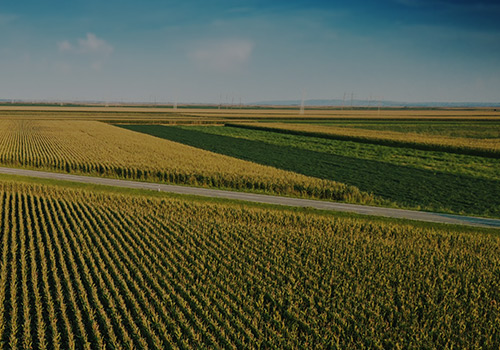 Aerial View of Farm