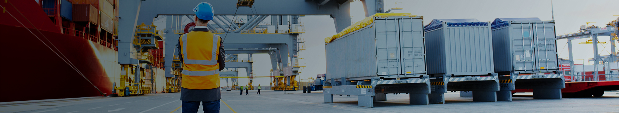 Man standing in shipping yard
