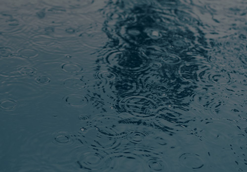 Rain drops on surface water