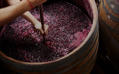 Carbon Dioxide Safety in Winemaking