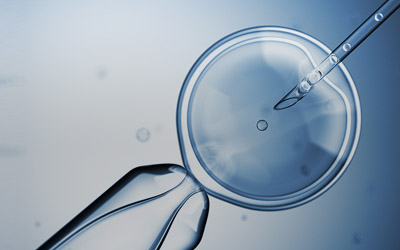 IVF Is Coming to New York State