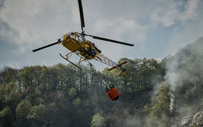 Winery & Vineyard Wildfires: A Message from our Response Team