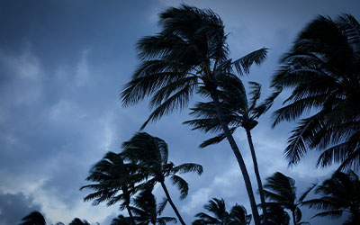 Tropical Storm Preparedness Checklist, Claims Procedures