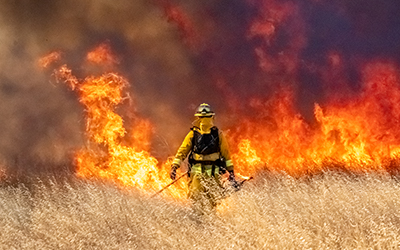 Winery Fire Protection and Relief