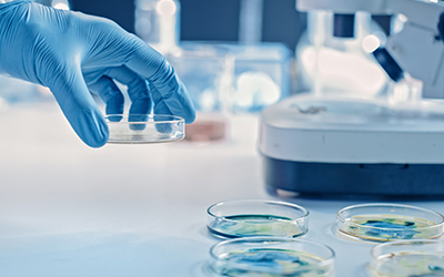 Medical Person with Petri Dishes