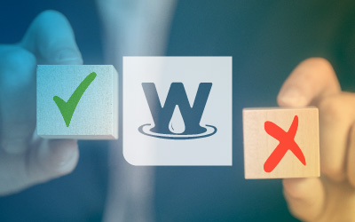 The Well Newsletter | June 2024