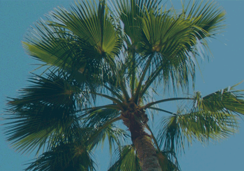 Risk and Resilience: A Closer Look at Florida’s Property Insurance Market