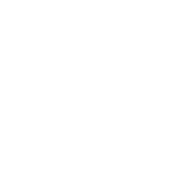 Steering wheel icon