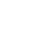 Car icon