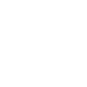 Boat icon