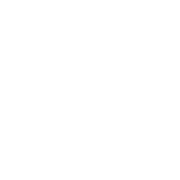 Karting icon
