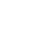 alcohol with stop sign icon