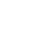 Paddock icon
