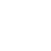 accident icon