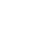 Race track icon