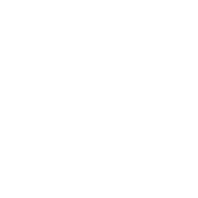 Alert icon