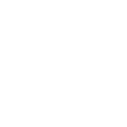 Race flag icon