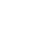 Vehicle Modifications icon