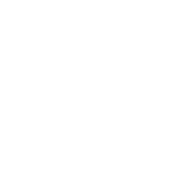 crutches icon