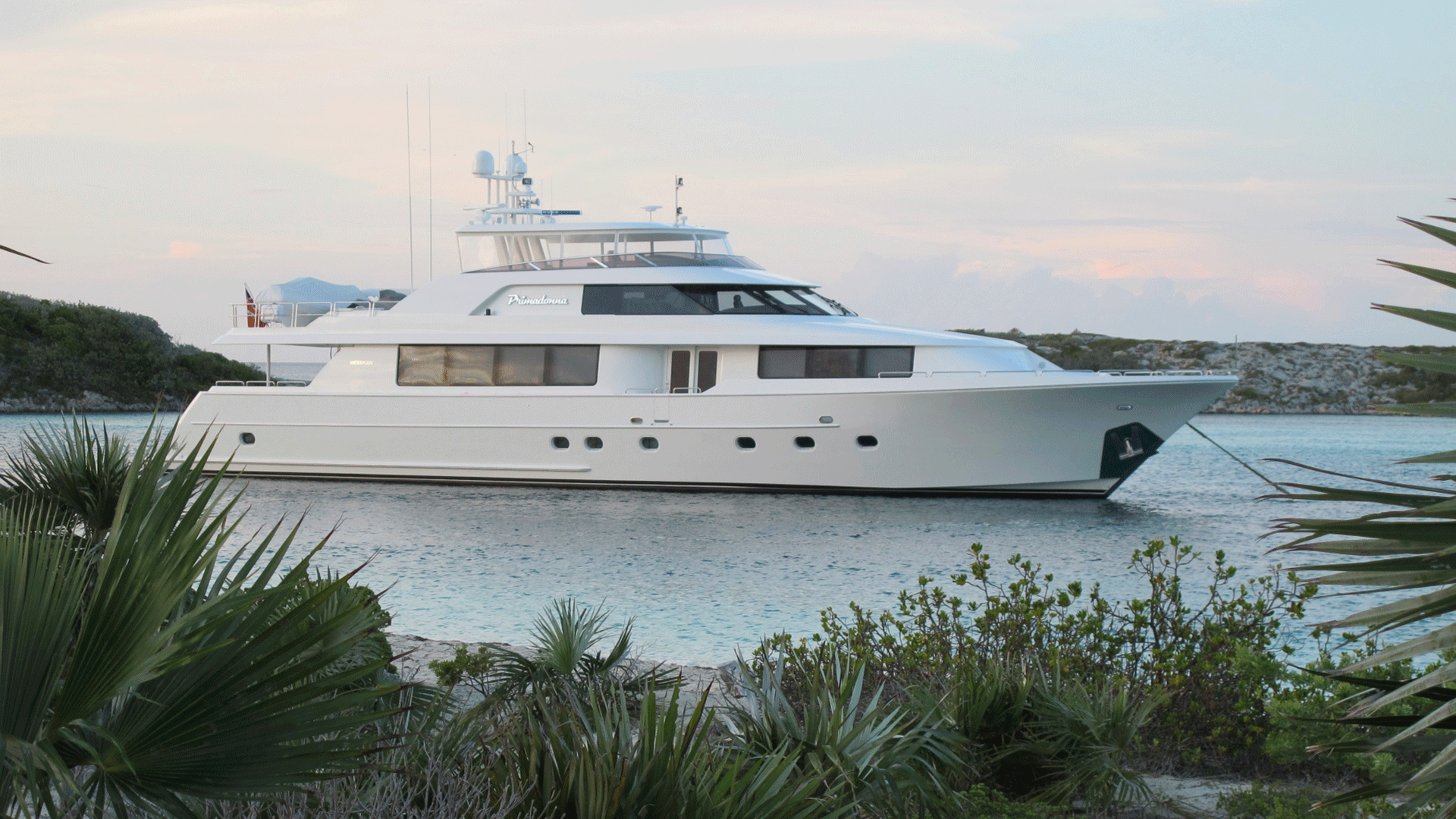 yacht anchored near vegetation