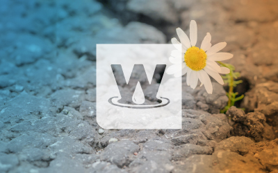 The Well Newsletter | May 2025