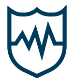 shield icon