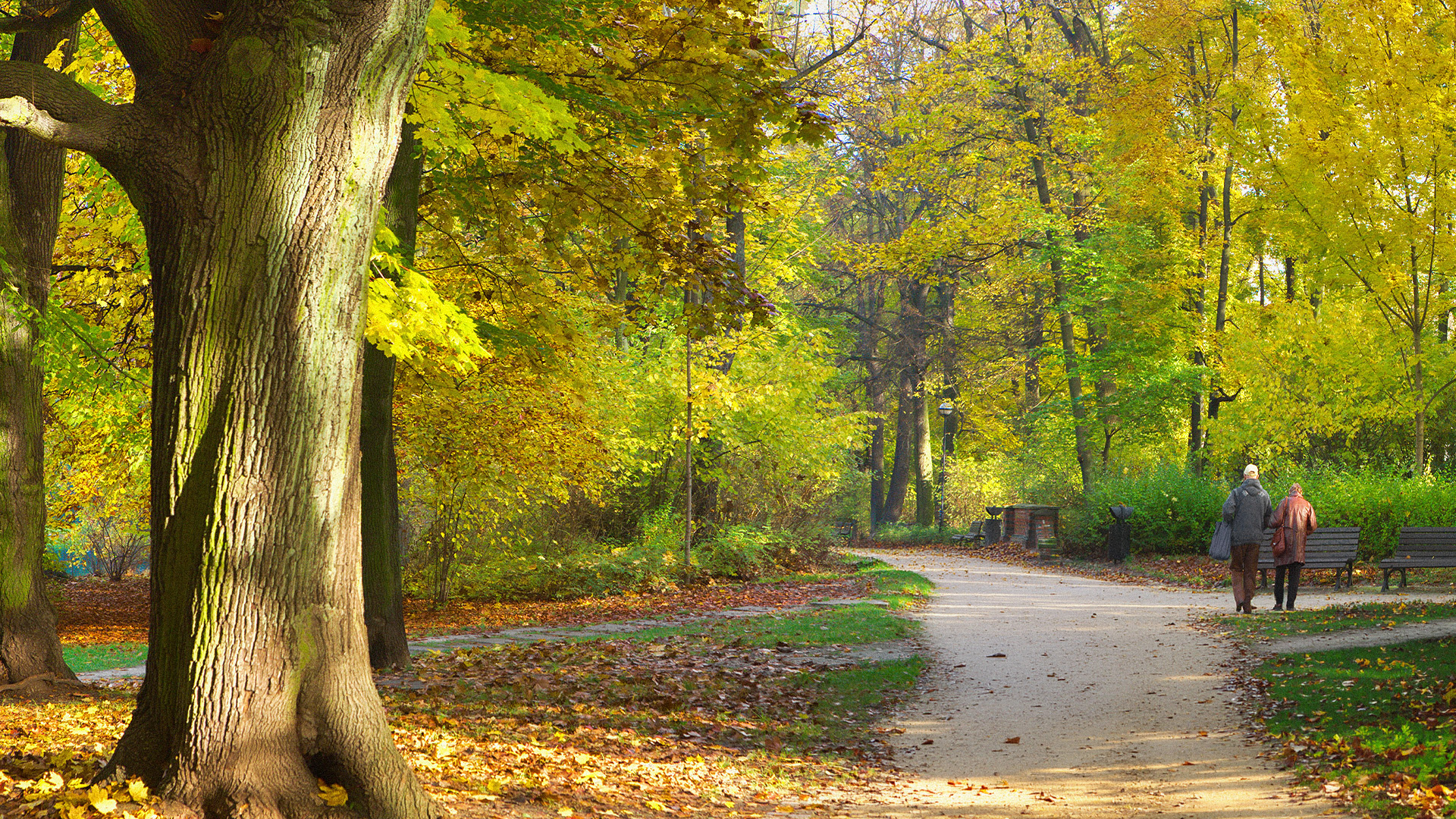 older couple walking on park trail with trees